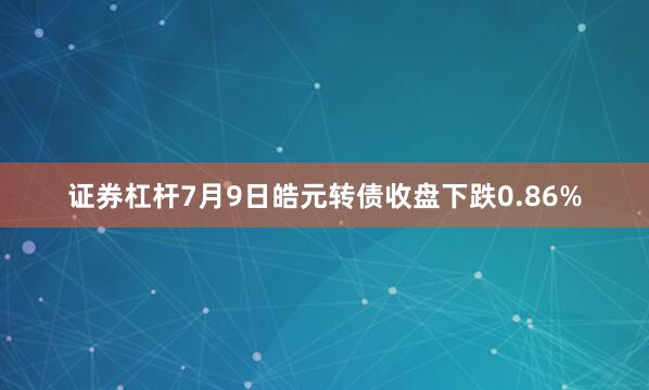 证券杠杆7月9日皓元转债收盘下跌0.86%