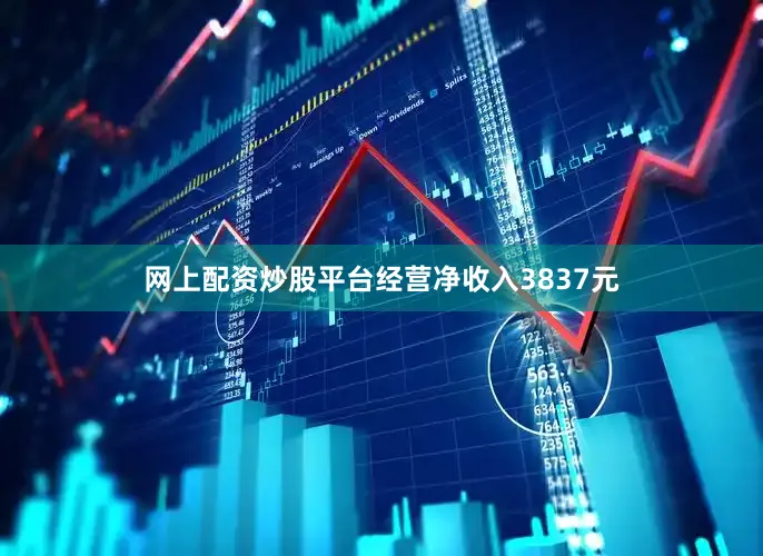 网上配资炒股平台经营净收入3837元